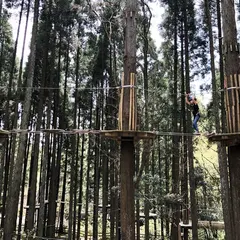 ターザニア