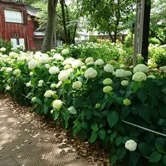 玉敷公園