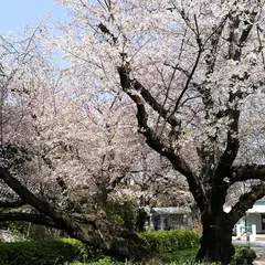 山手公園