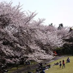 本牧山頂公園