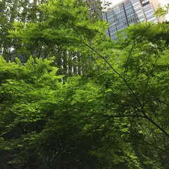 オーテモリ