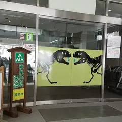 勝山温泉センター水芭蕉