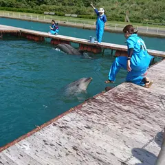かつもとイルカパーク