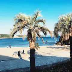 ダグリ岬海水浴場