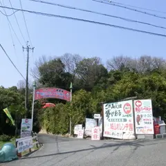 城山オレンヂ園