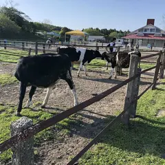 マザー牧場