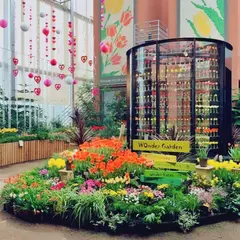 チューリップ四季彩館