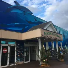 越前松島水族館