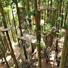 フォレストアドベンチャー・糸島