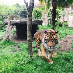 八木山動物公園フジサキの杜