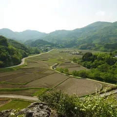 田染荘