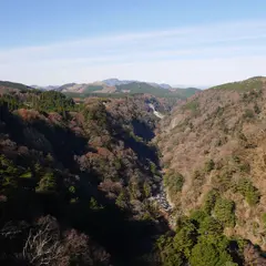 九重“夢”大吊橋