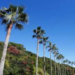 日南海岸