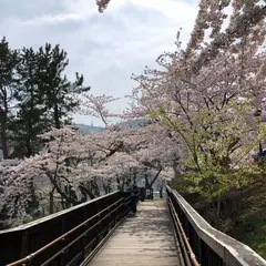 函館公園