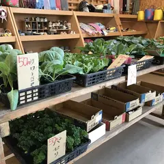 とよころ物産直売所