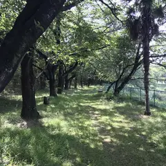 長成池