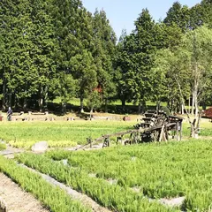 永沢寺花しょうぶ園