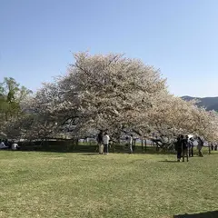 箱根園