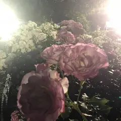都市緑化植物園