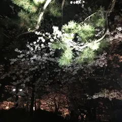 弘前城植物園