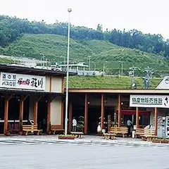 道の駅　桜の郷荘川