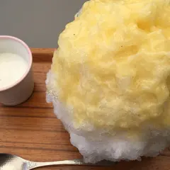 埜庵 （のあん） 