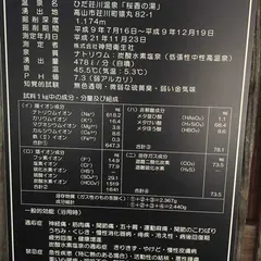 ひだ荘川温泉 桜香の湯