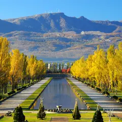前田森林公園