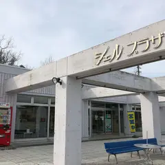 道の駅 シェルプラザ・港