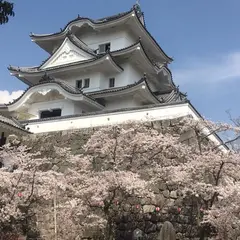 上野城