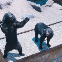 奥飛騨クマ牧場
