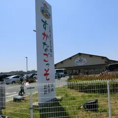 JAよこすか葉山　農産物直売所「すかなごっそ」