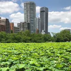 不忍池