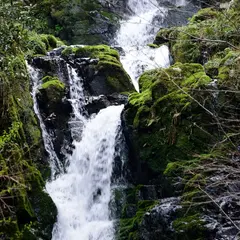 屋敷の滝