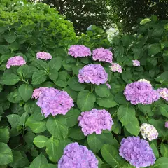 大塚性海寺歴史公園