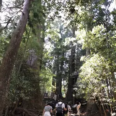 熊野古道大門坂