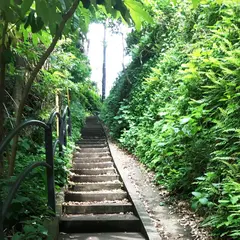 仙水