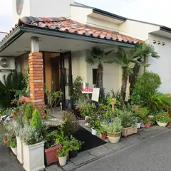 green parlour ベルベール