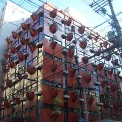 オーガニックビル
