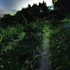 松尾峡（ほたる童謡公園）