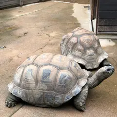アクア・トトぎふ