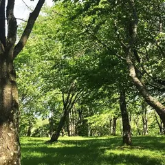 丸山公園