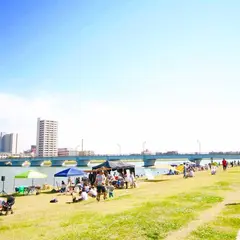 信濃川やすらぎ堤緑地