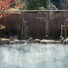 穂高荘 山がの湯