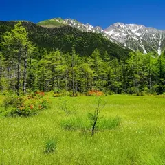 田代湿原