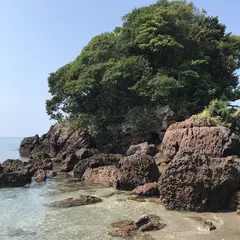 荒平天神