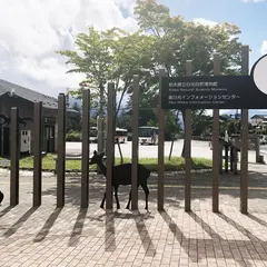 日光自然博物館