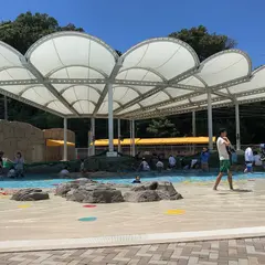海ほおずき