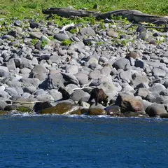 ルシャ湾