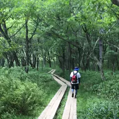 小田代ヶ原